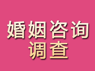 新余婚姻咨询调查