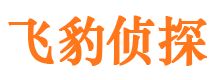 新余市婚外情调查